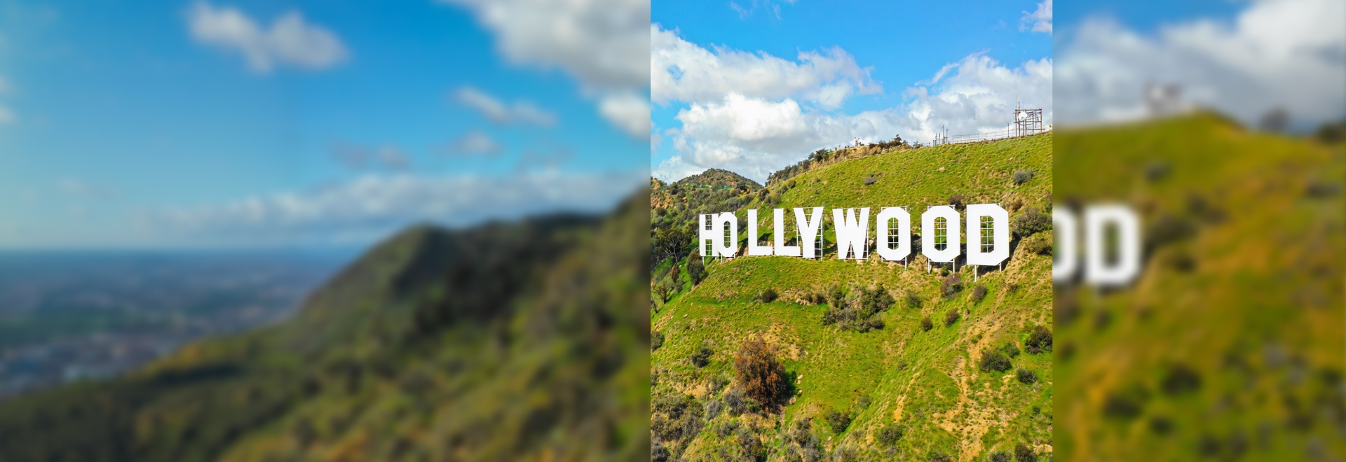 하루 만에 끝내는
LA 시티투어